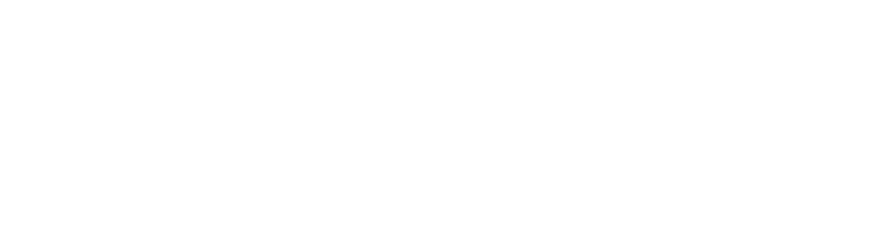 IDCUS logo